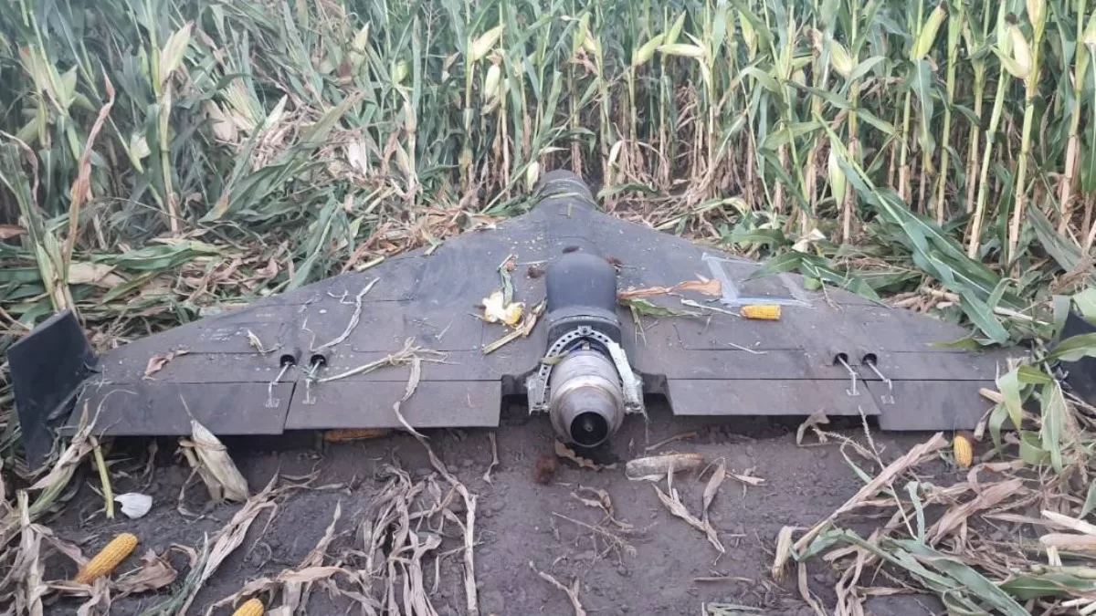 Photo of a surviving Russian Shahed jet, which was successfully landed using electronic warfare. Illustrative photo / Photo from X @kava220