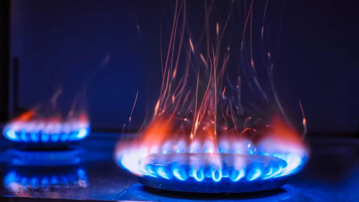 Illustrative photo / Photo papik.pro