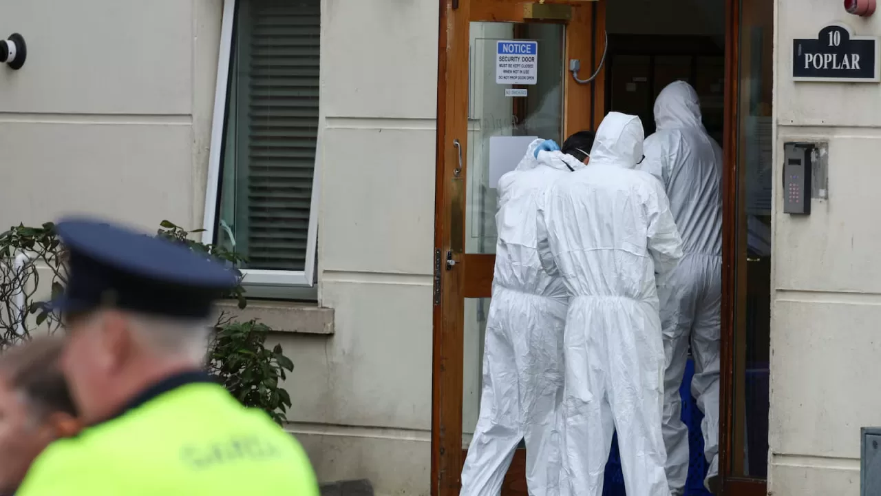 Правоохранители Ирландии на месте преступления / Фото: Irish Times