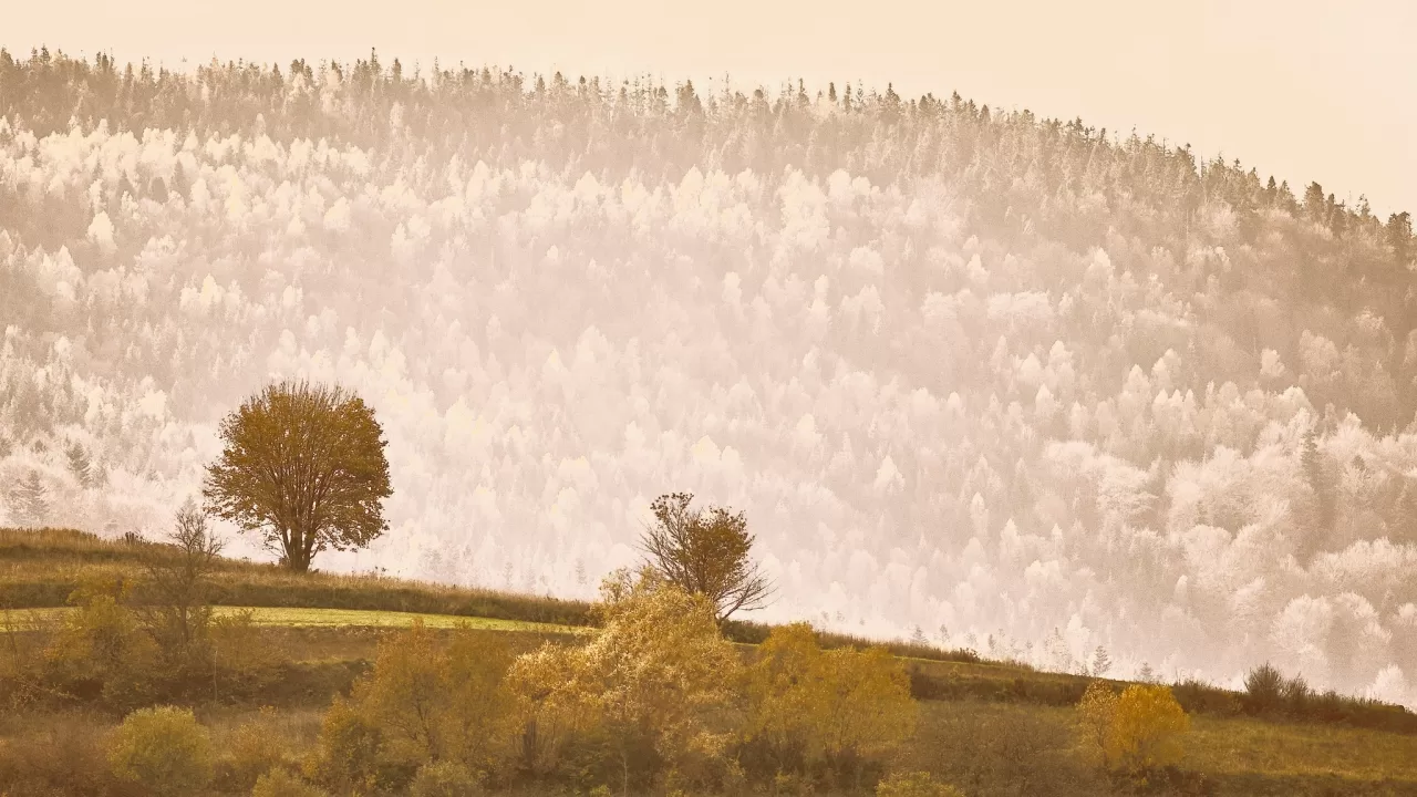 Ілюстративне фото / Фото: Ігор Піддубний/Facebook