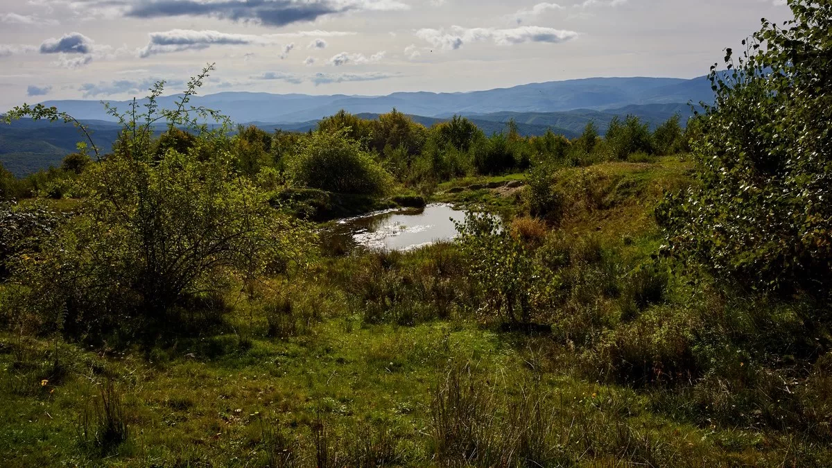Ілюстративне фото / Фото з Facebook Сергій Козлов