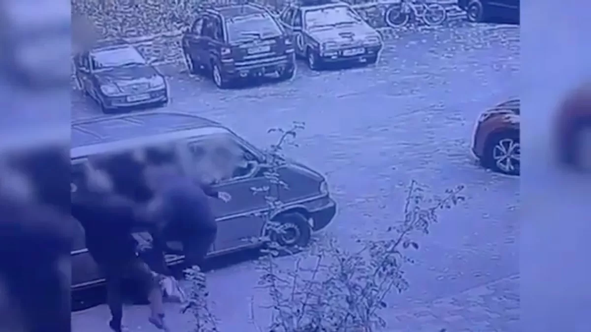 Потерпевший лежал на пороге транспортного средства и не сопротивлялся, однако правоохранители нанесли не менее 10–15 ударов по голове и телу / Скриншот видео