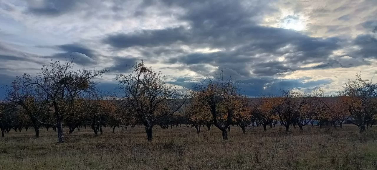 Осенний Люботин / Фото: t.me/liubotyn