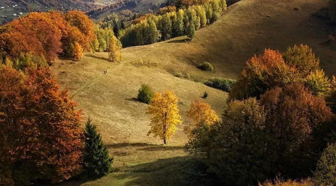 Карпаты в октябре / Фото: Антон Птушкин/Facebook