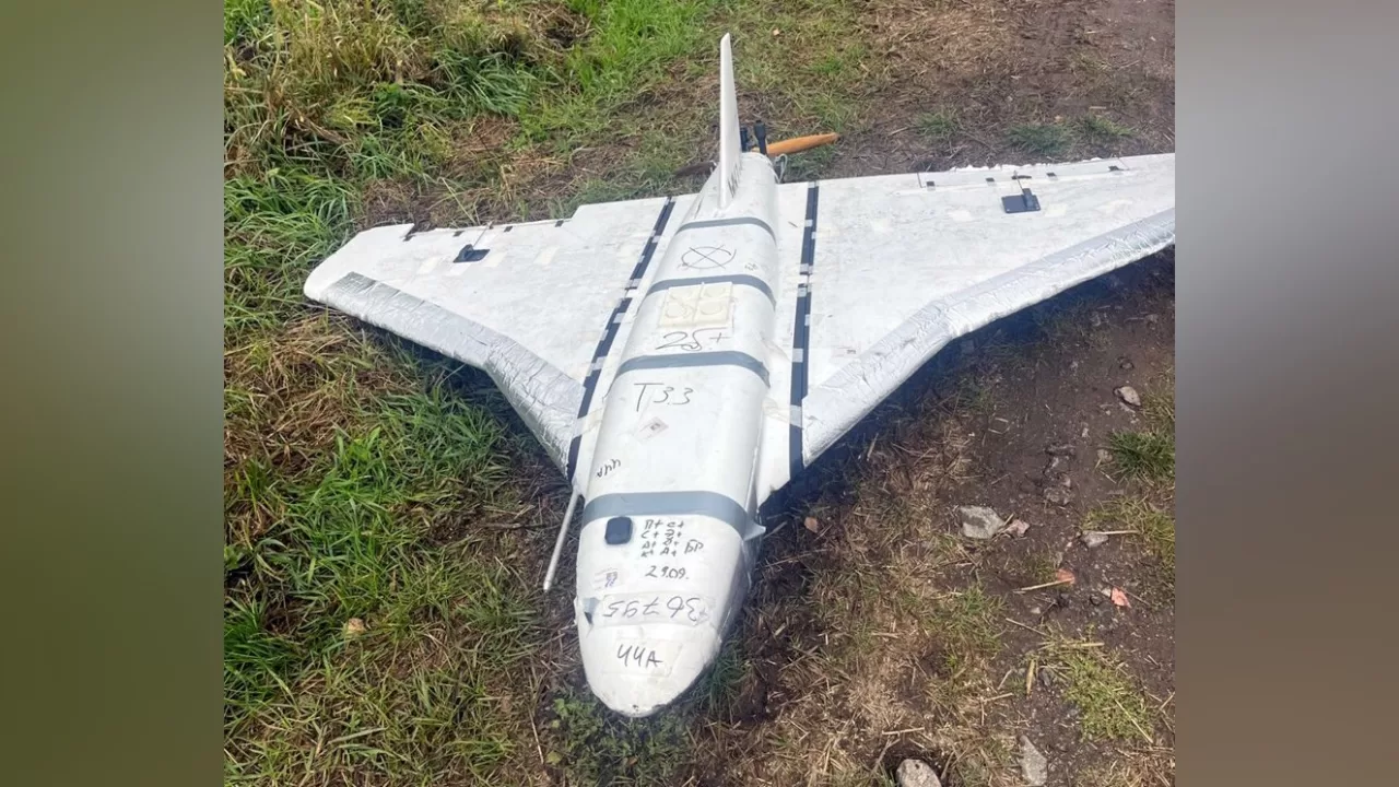 Gerbera decoy UAV / Photo from X @666_mancer