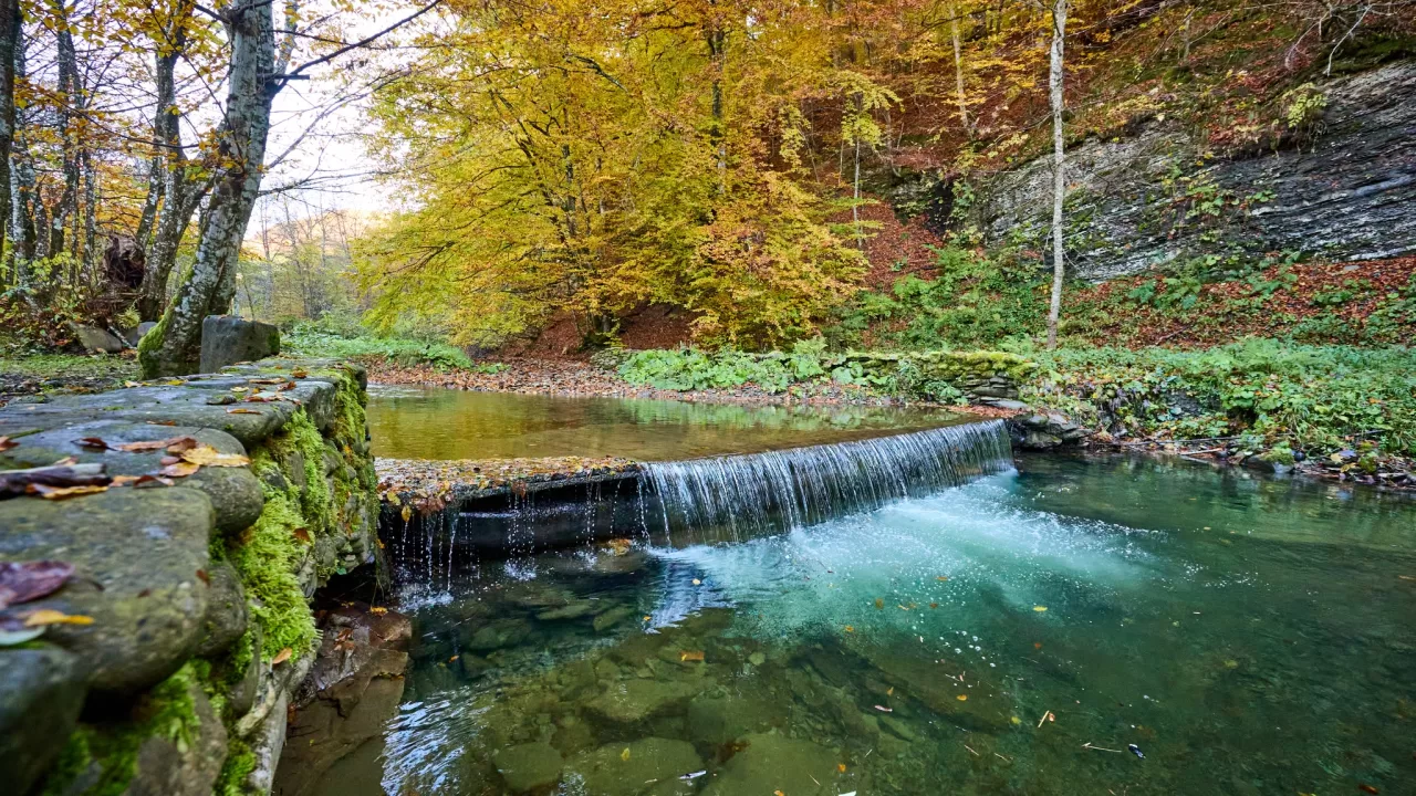 Иллюстративное фото / Фото: Сергей Козлов/Facebook