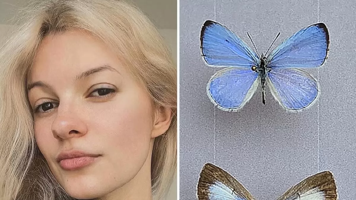 Вид Iryna’s Azure вперше був виявлений ще у 1985 році в Південній Кароліні, але офіційної назви не мав / Фото ABC News