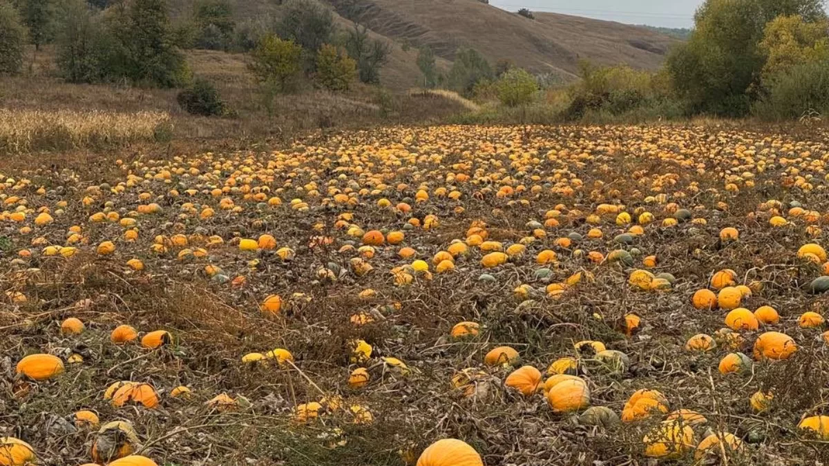 Иллюстративное фото / Фото с X @stepanska_m
