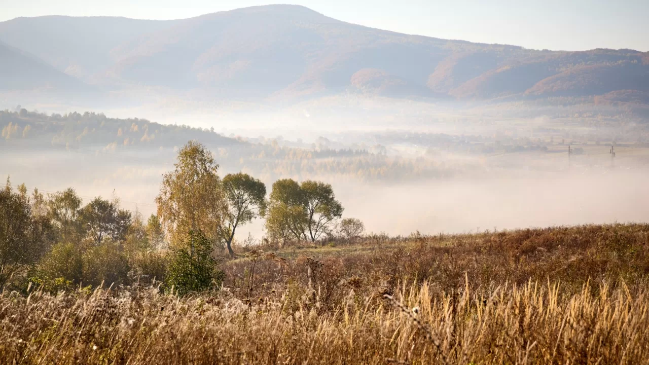 Иллюстративное фото / Фото: Сергей Козлов/Facebook