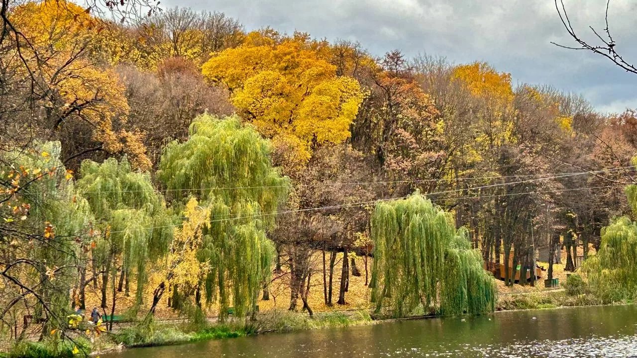 Фото: Наталья Диденко