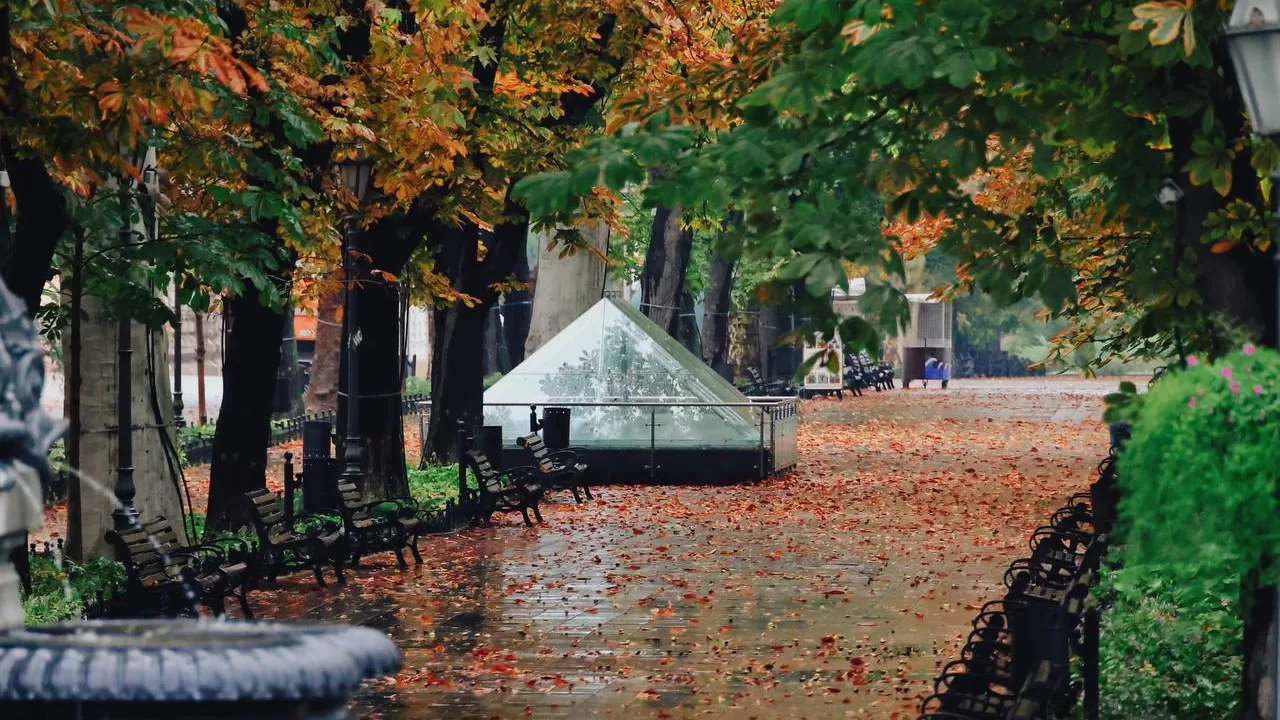 Осенняя Одесса / Фото: t.me/odesacityofficial