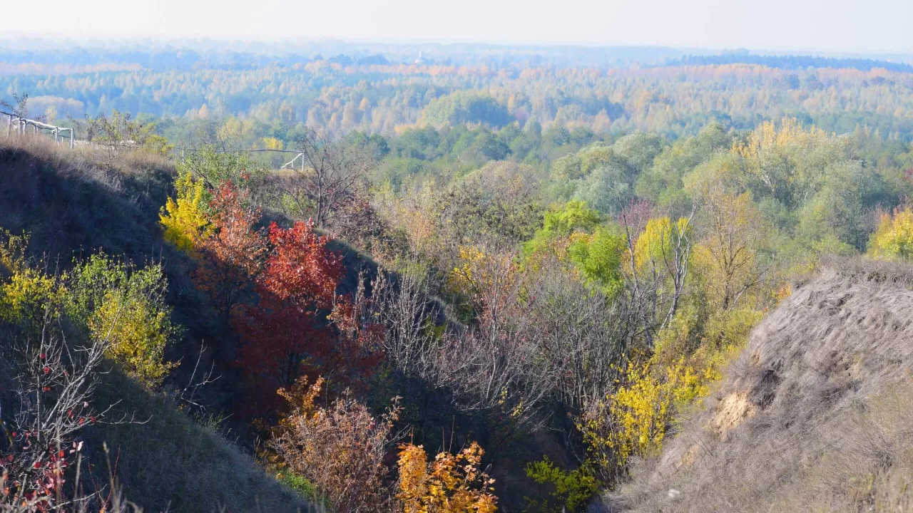 Національний природний парк “Пирятинський” / Фото: wownature.in.ua
