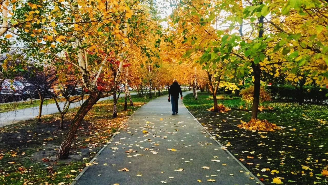 Осінній вайб у Києві / Фото з Facebook Хилько Роман