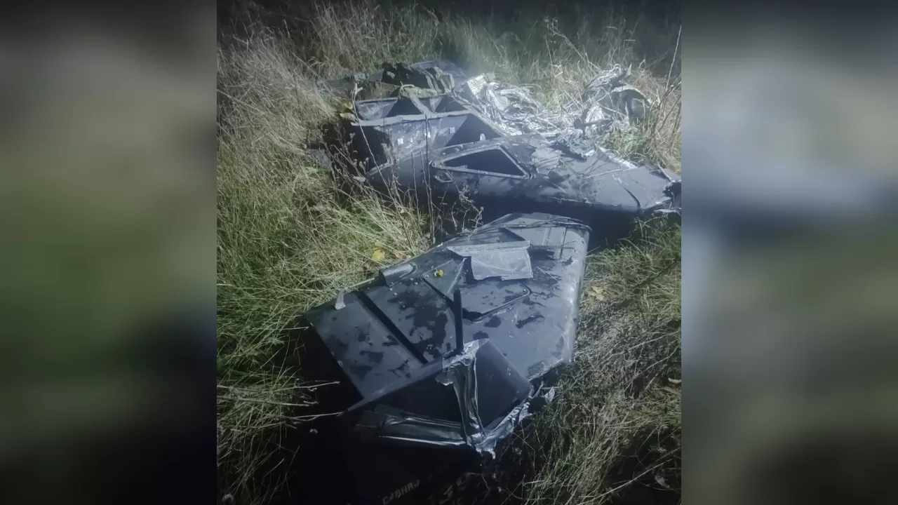 Збиті російські БпЛА / Фото: ДПСУ