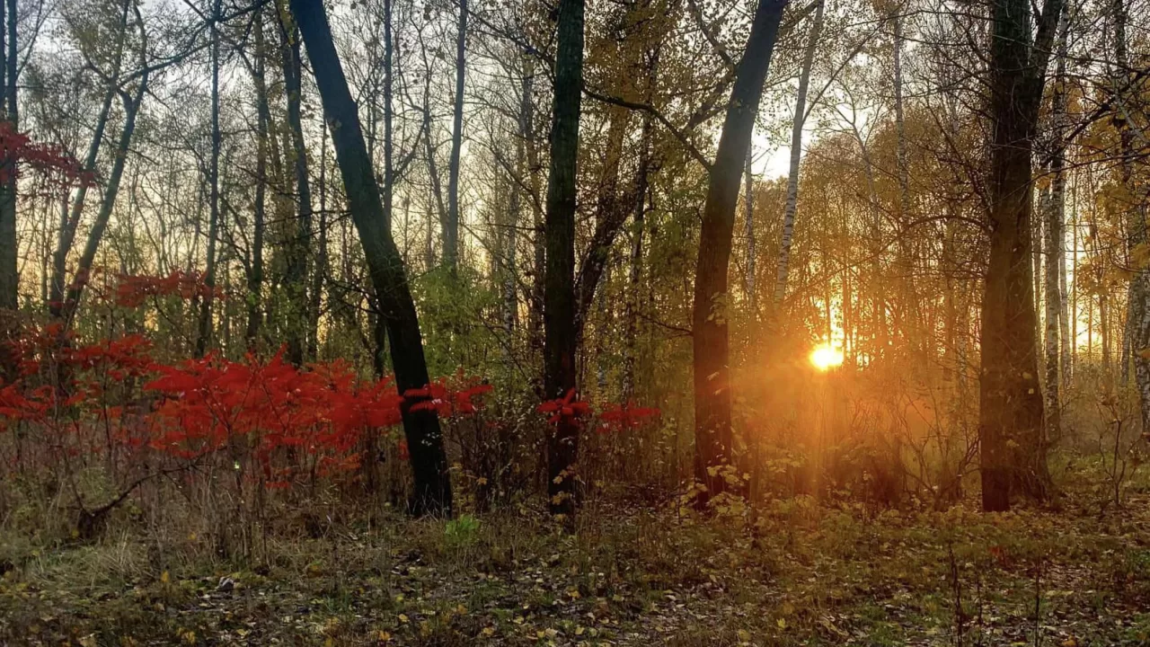Ілюстративне фото / Ігор Піддубний/Facebook
