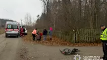 На Житомирщині легковик на смерть збив дитину / Фото: Поліція Житомирщини