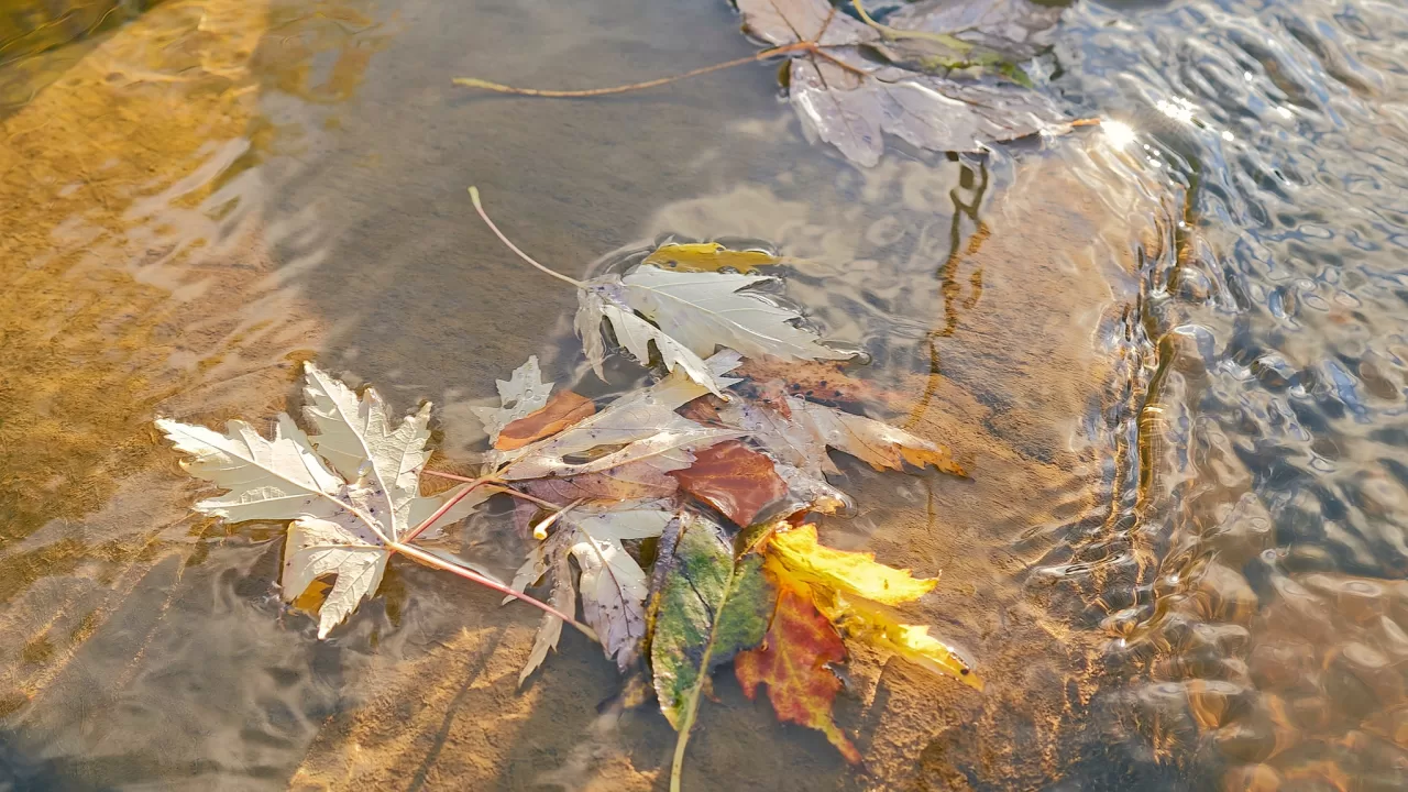 Ілюстративне фото / Ігор Піддубний/Facebook