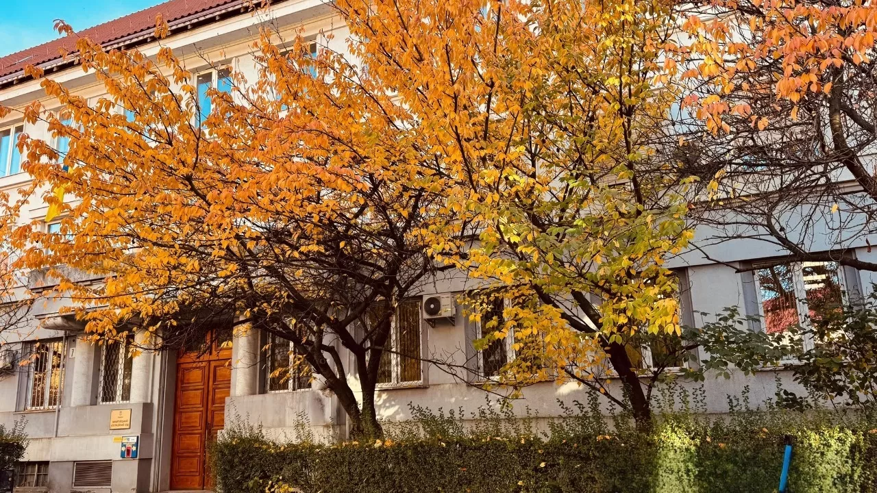 Закарпатський апеляційний суд / Фото: Facebook