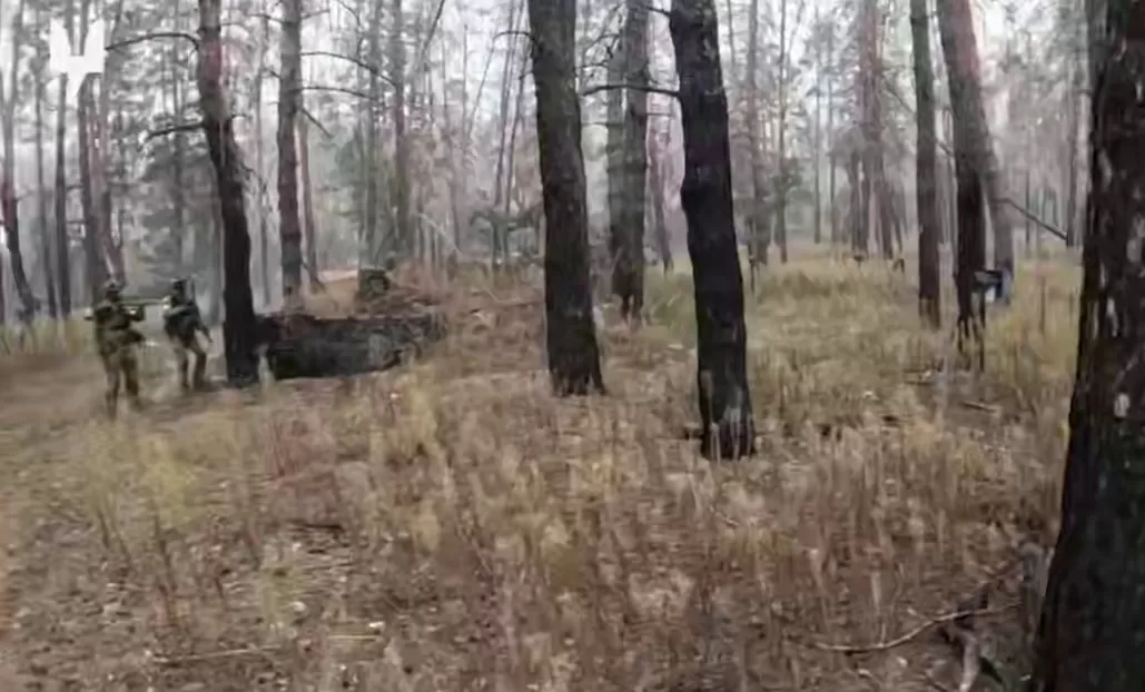 Зачистка позицій окупантів на Донеччині / Скриншот