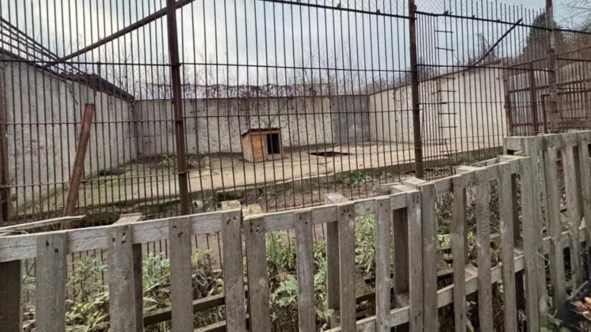 Вольєр на території реабілітаційного центру для диких тварин, 15 листопада 2025 року, Хмельницький / Фото Хмельницька обласна прокуратура