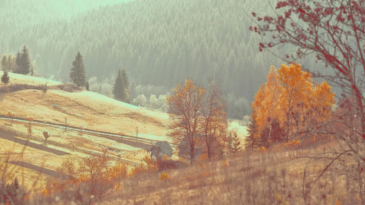 Ілюстративне фото / Ігор Піддубний/Facebook