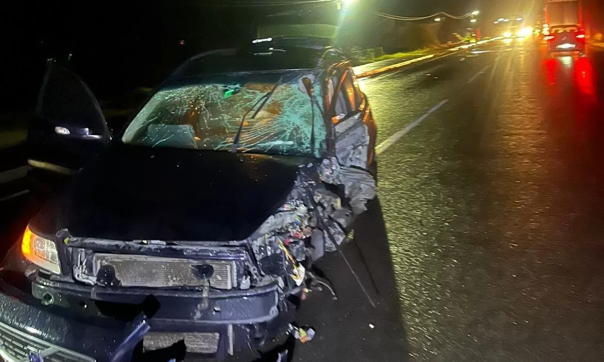 Пошкоджена внаслідок ДТП "Вольво" / Фото: Поліція Львівщини