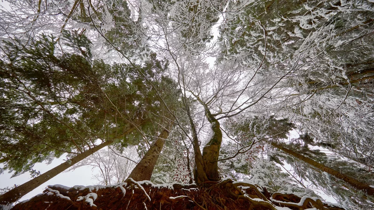 Ілюстративне фото / Ігор Піддубний/Facebook