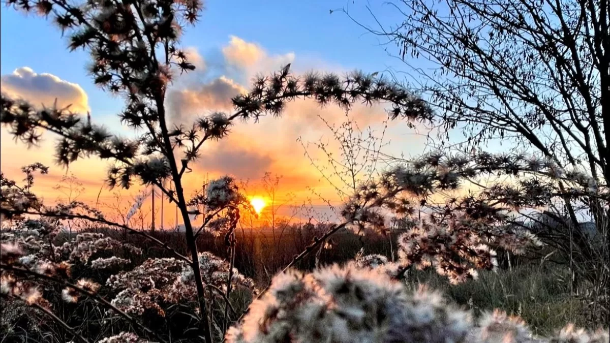 Черкащина, сонце іде за обрій / Фото з Facebook Nina Lukyanenko