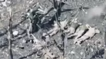 Prosecutors are looking into the shooting of five captured Ukrainian soldiers in the Pokrovsk district / Screenshot from video