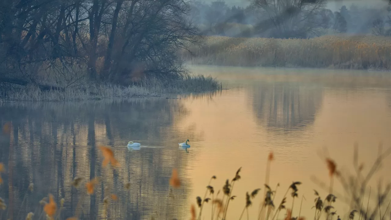 Ілюстративне фото / Ігор Піддубний/Facebook