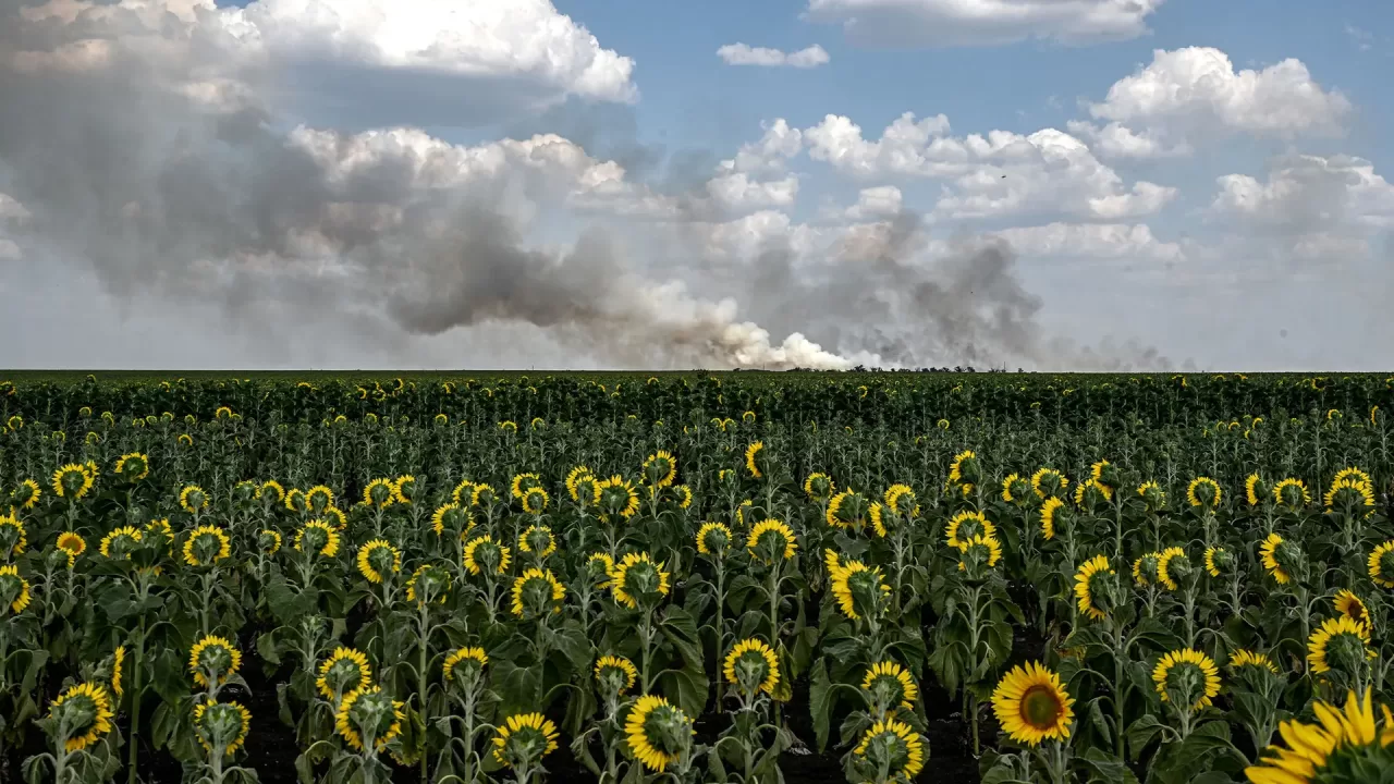 Smoke from Russian shelling rises over a sunflower field in the Zaporizhzhia region, Ukraine, on July 8. Ukrinform/NurPhoto