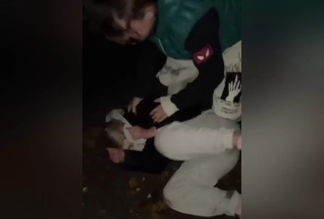 Избиение девочки в Харькове / Скриншот