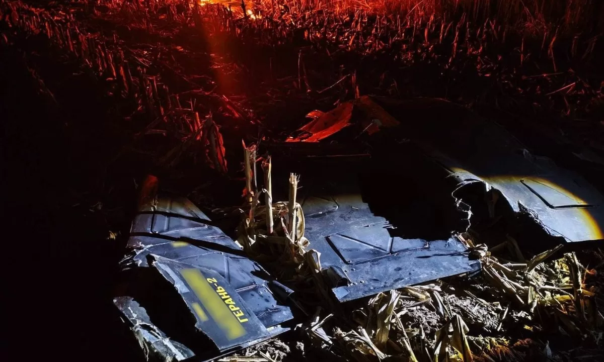 Фрагменти збитого російського БпЛА / Фото: ДПСУ