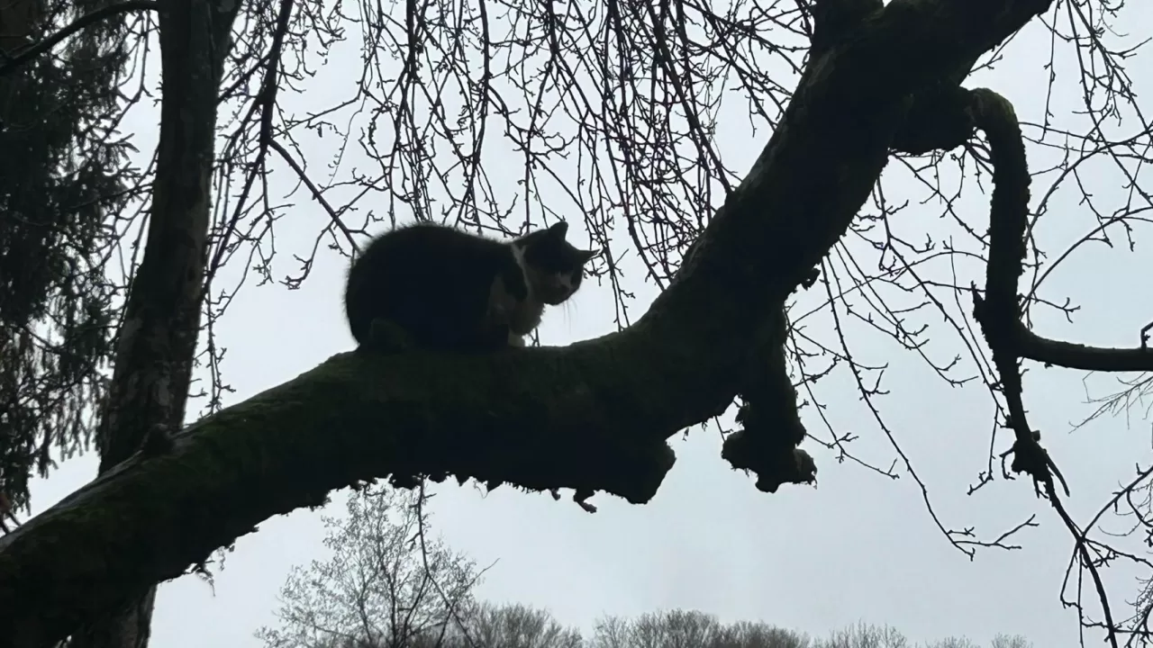 Иллюстративное фото / Наталья Диденко