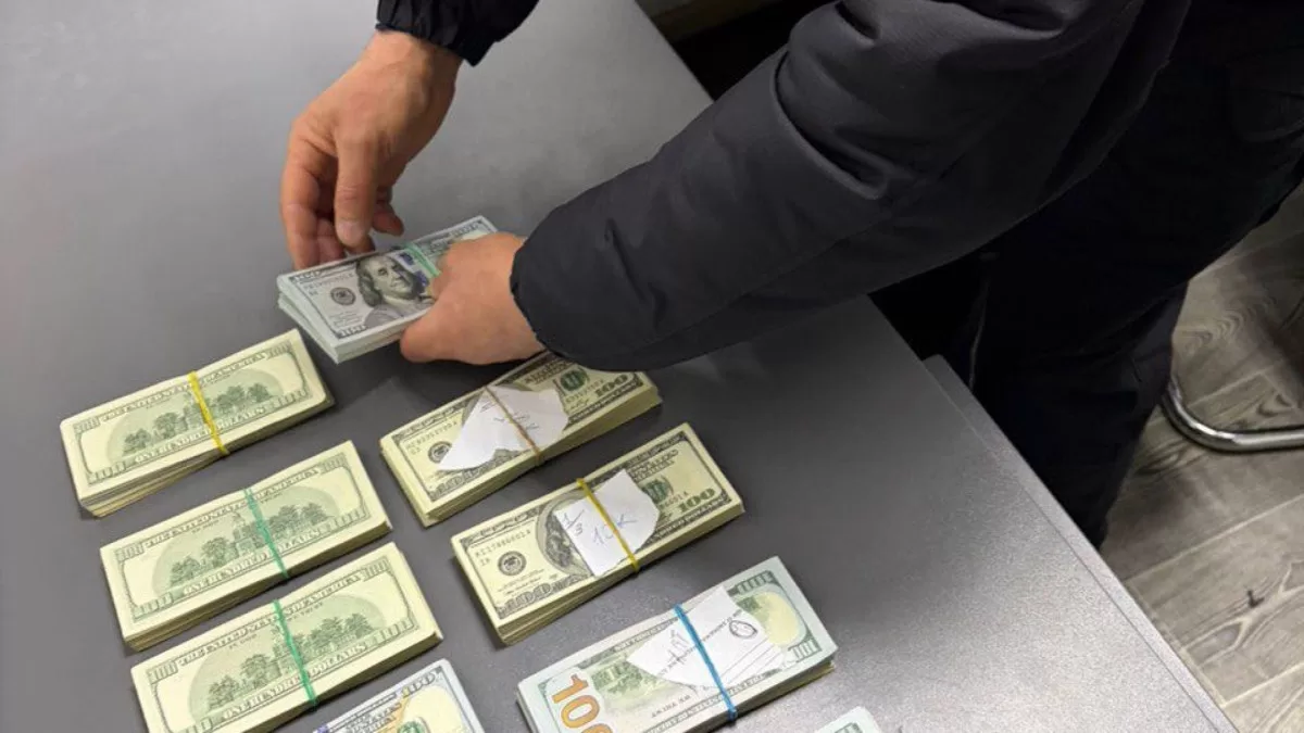 На границе с Румынией таможенники остановили попытку незаконного перемещения крупной суммы валютных средств / Фото Государственная таможенная служба Украины