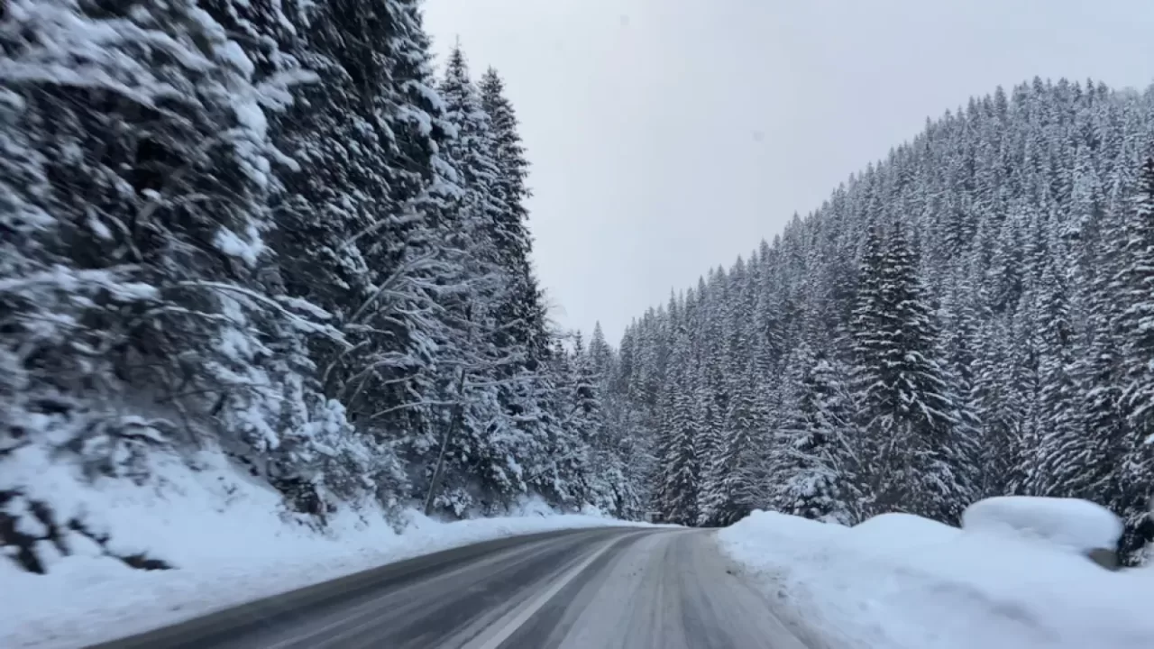 Дорога в Буковель / Фото из соцсетей