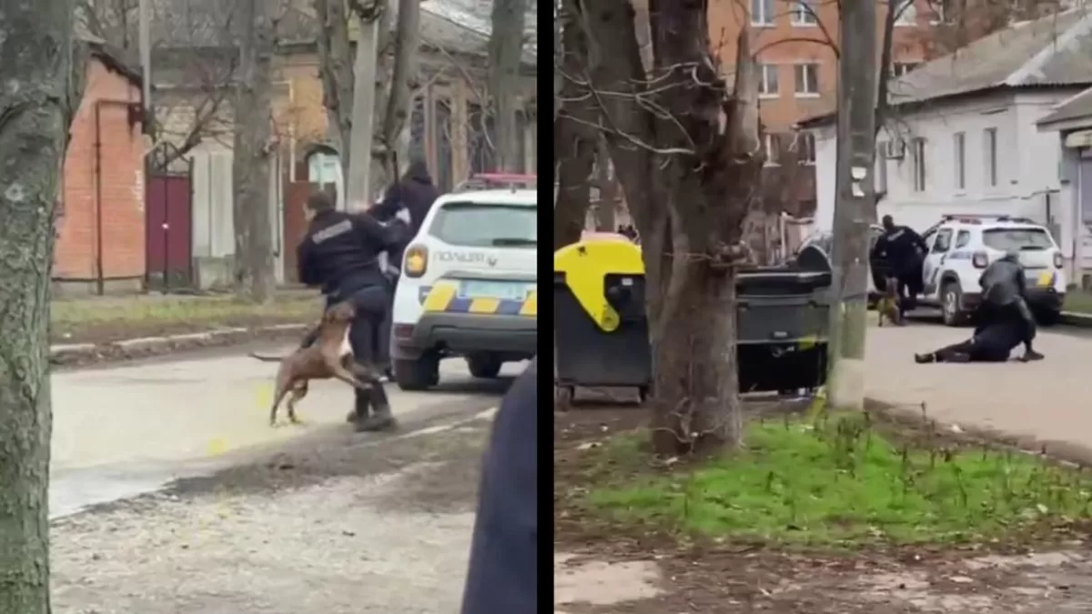 За попередніми даними, тварину спустив на правоохоронців її господар – 31-річний місцевий мешканець / Скріншот відео