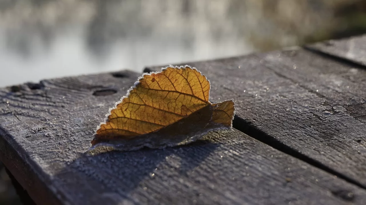 Ілюстративне фото / Сергій Козлов/Facebook