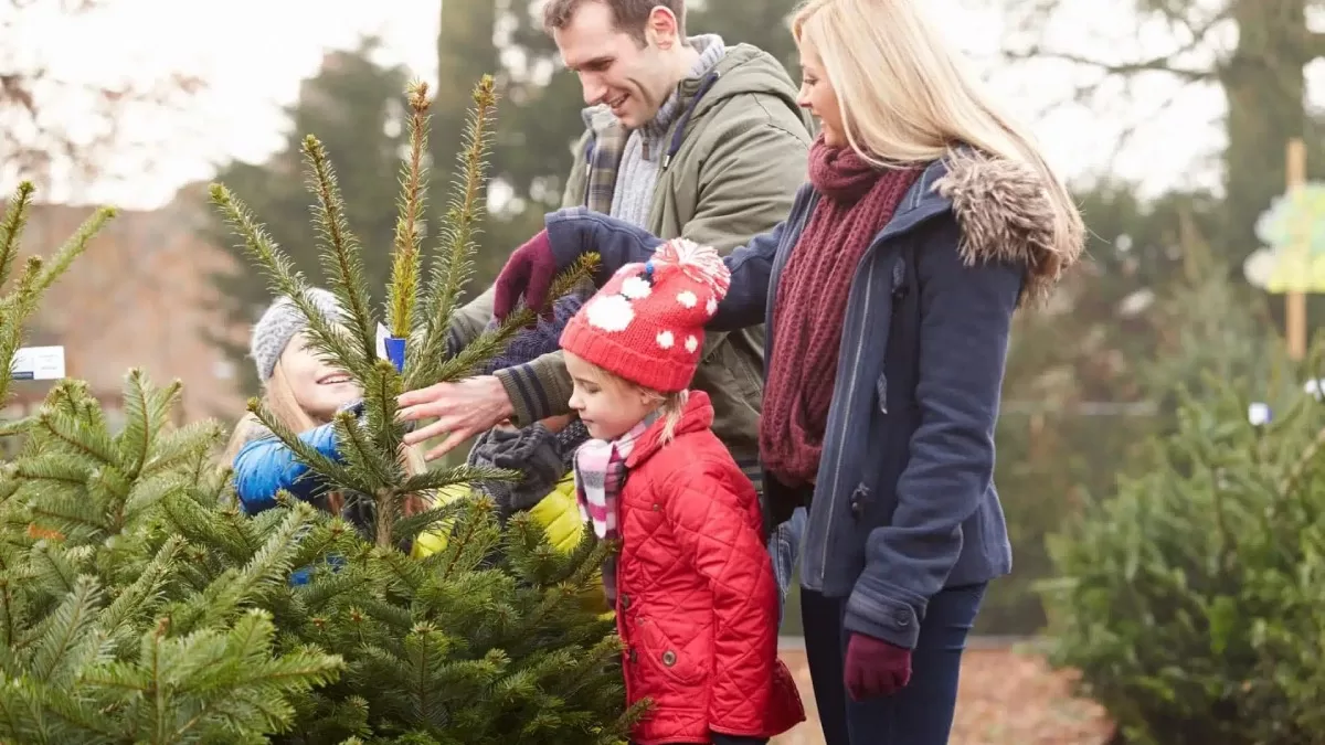 Ілюстративне фото / Фото christmas.co.uk