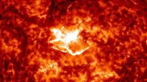 Солнечная вспышка класса M8.1 6 декабря 2025 года / Фото: NASA/SDO