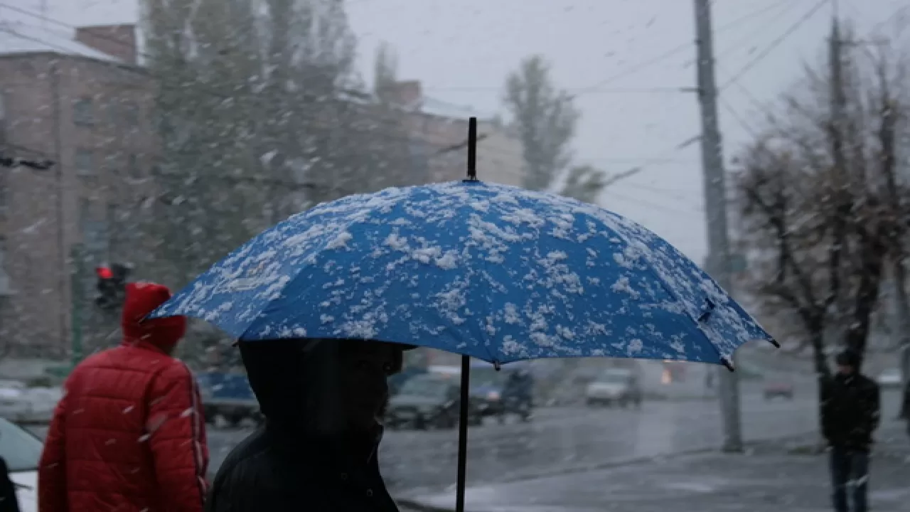 Мокрий сніг / Фото: vinnitsa.info