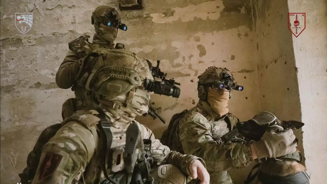 Иллюстративное фото / Фото ССО