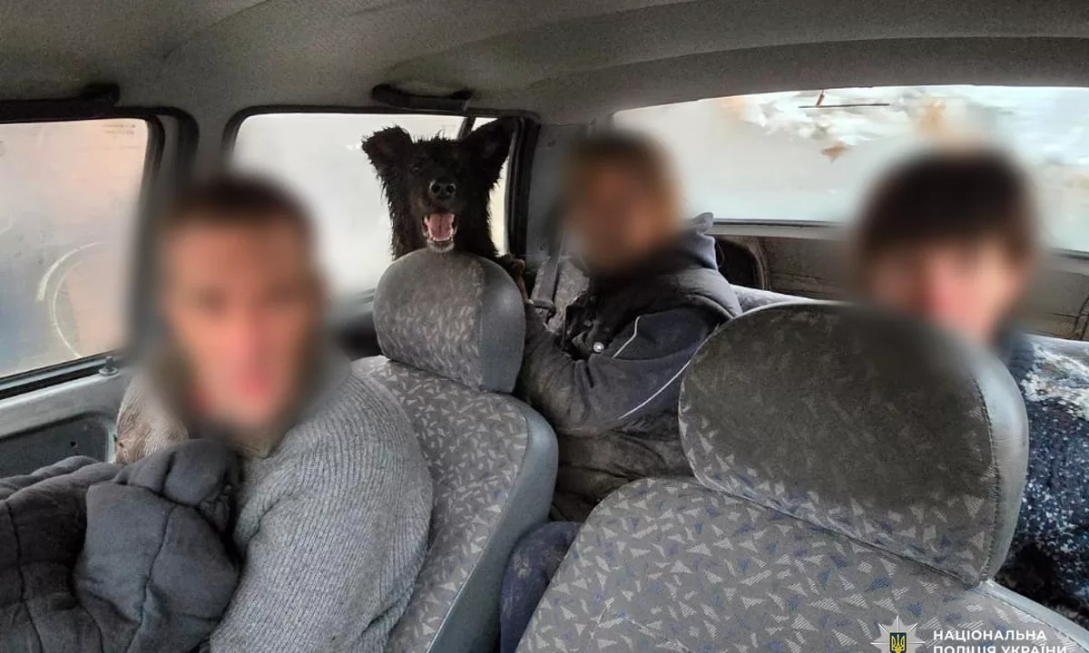 Евакуація родини з Харківщини / Фото: Нацполіція