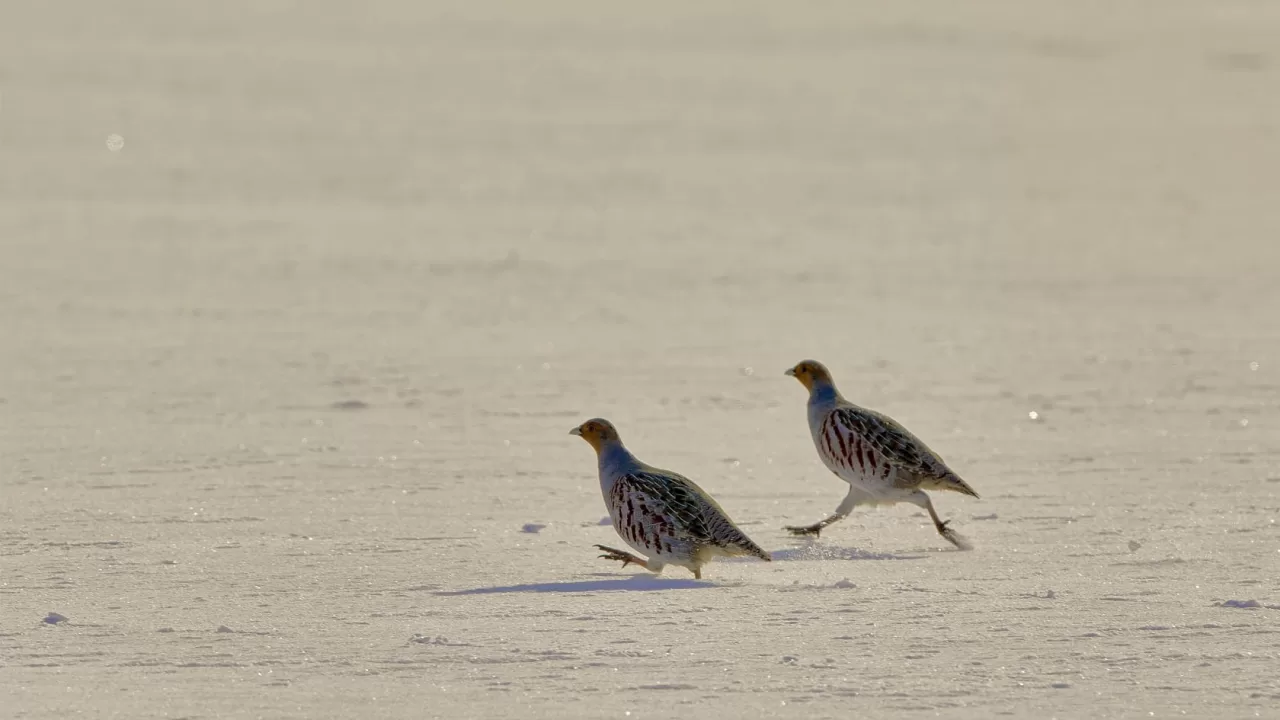 Ілюстративне фото: Ігор Піддубний/Facebook
