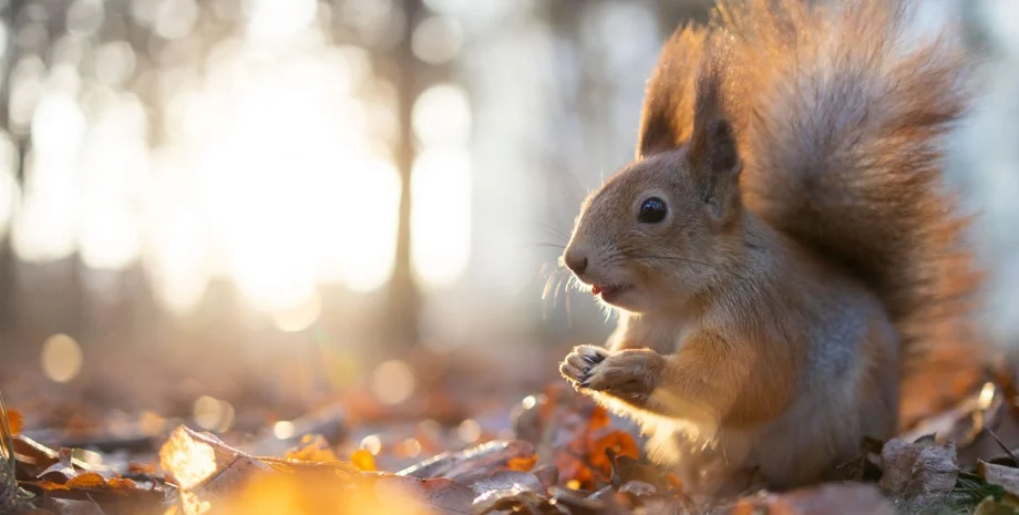 Иллюстративное фото: УНИАН