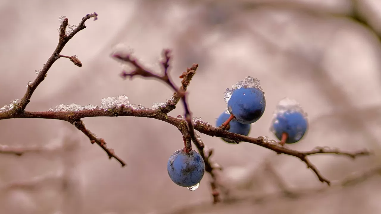 Иллюстративное фото / Игорь Поддубный/Facebook