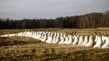 Загальний вигляд першої частини системи під назвою «Східний щит» — військових укріплень уздовж східного кордону Польщі, в місті Домброва, Польща / Фото Agencja Wyborcza.pl