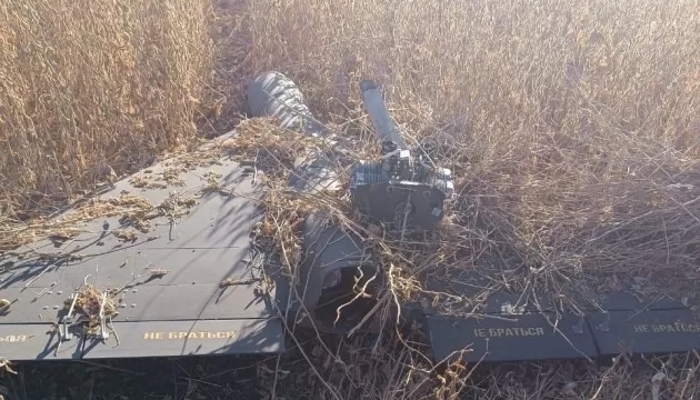 Збитий "шахед" / Фото: ДПСУ