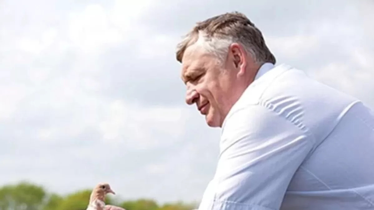 Віктор Аверін / Фото з відкритих джерел