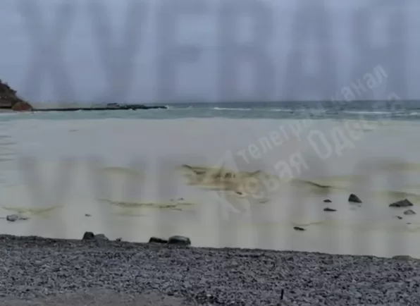 Пляжі Дельфін і Ланжерон перевіряють через можливе нафтове забруднення / Скріншот